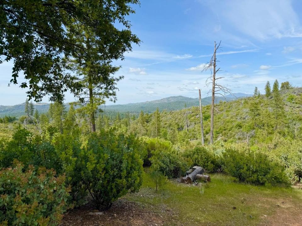 Fricot City Rd, Sheep Ranch, California 95246