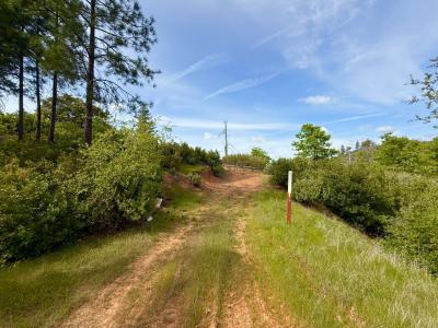 Fricot City Rd, Sheep Ranch, California 95246