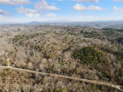 38 Ac Whitestone Road, Talking Rock, Géorgie 30175, États-Unis