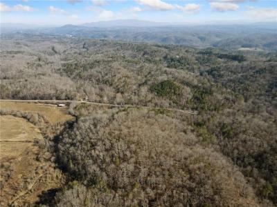 38 Ac Whitestone Road, Talking Rock, Geórgia 30175, Estados Unidos