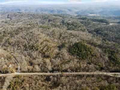 38 Ac Whitestone Road, Talking Rock, Geórgia 30175, Estados Unidos