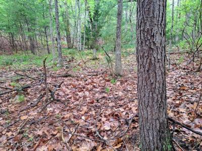 109 Laurelton Lane, Crossville, Tennessee 38558, Stati Uniti