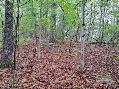 109 Laurelton Lane, Crossville, Tennessee 38558, Stati Uniti