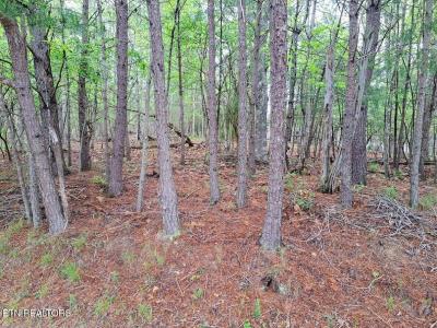 109 Laurelton Lane, Crossville, Tennessee 38558, Stati Uniti