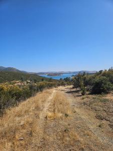 Ranchero Road, Valley Springs, 加利福尼亚州 95252, 美国