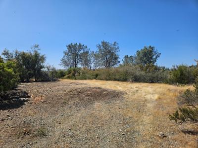 Ranchero Road, Valley Springs, 加利福尼亚州 95252, 美国