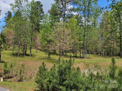 2109 Inlet Shore Road NE, Connelly Springs, Carolina Do Norte 28612, Estados Unidos