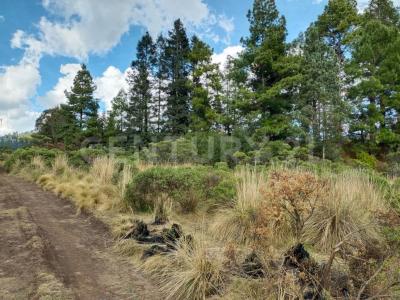 Hacienda Nueva sn,, Amanalco, État De Mexico 51260, Mexique