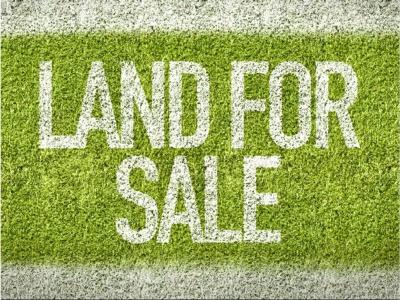 Lot 1521 990 Picton Road, Wilton, NSW 2571, Australia