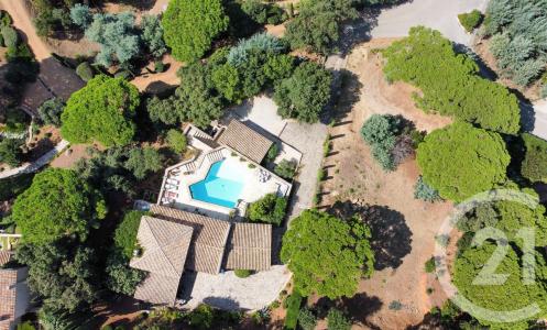 La Croix Valmer, Provence-Alpes-Côte D'Azur 83420, Francia
