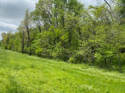 000 Lawrence 2220, Verona, Missouri 65769, USA