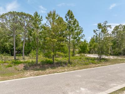 1616 Sea Breeze Way, Carrabelle, Florida 32322, Estados Unidos