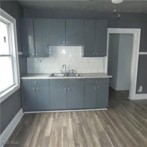 10921 Dove Avenue, Cleveland, אוהיו 44105, ארצות הברית של אמריקה 