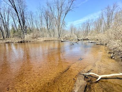 17639 N 20th Avenue, Marion, Michigan 49665, USA