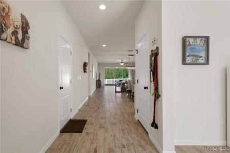 12905 Satin Lily Drive, Riverview, Florida 33579, USA
