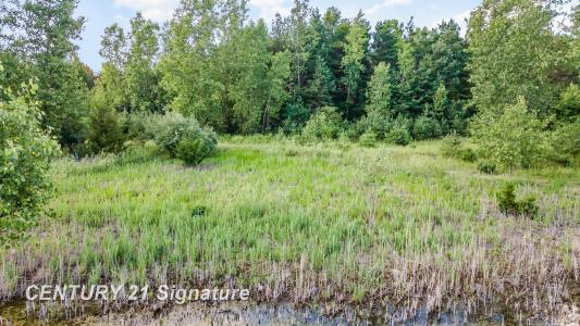 Vacant Swan Creek, Hemlock, Michigan 48626, Estados Unidos