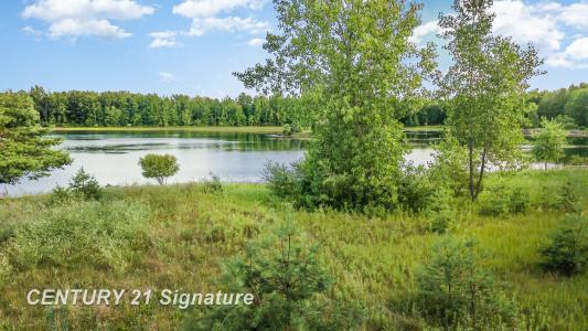 Vacant Swan Creek, Hemlock, Michigan 48626, USA