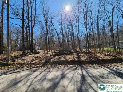 284 Delaware Trail, Tobyhanna Twp, Pennsylvania 18347