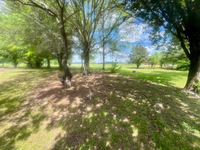 2421 County Road 151, Henagar, Алабама 35978, Соединенные Штаты