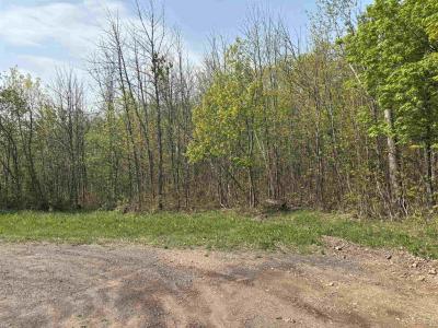 TBD B Gorton Rd, Hancock, Michigan 49930, USA