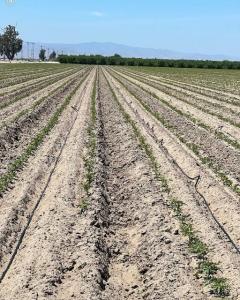 9375 Crows Landing Road, Ceres, California 95307, USA