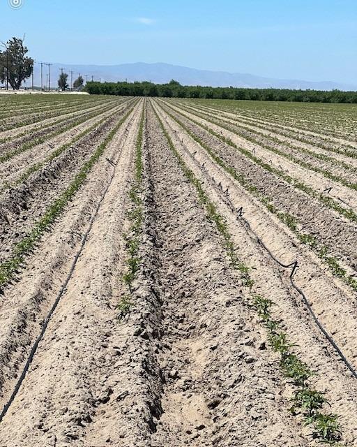 9375 Crows Landing Road, Ceres, Califórnia 95307, Estados Unidos
