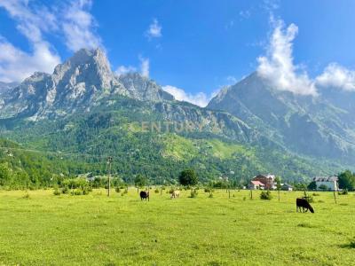 Periferia Shkodër, Shkodër, Албания