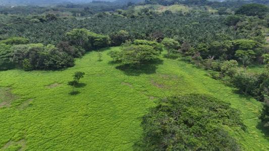 Quepos Quepos, Puntarenas 00001, Costa Rica
