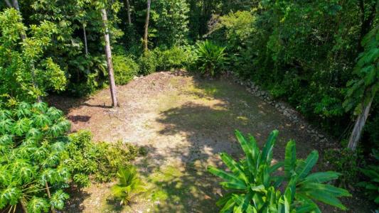 Ojochal Puerto Cortés Osa, Puntarenas 00001, Costa Rica