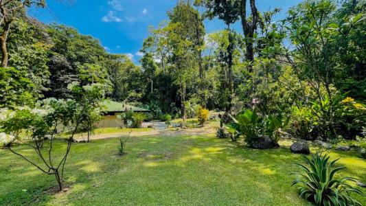 Ojochal Puerto Cortés Osa, Puntarenas 00001, Costa Rica