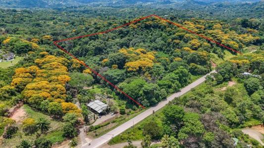 Ojochal Puerto Cortés Osa, Puntarenas 00001, Costa Rica