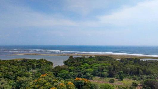 Ojochal Puerto Cortés Osa, Puntarenas 00001, 哥斯达黎加