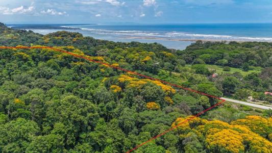 Ojochal Puerto Cortés Osa, Puntarenas 00001, 哥斯达黎加