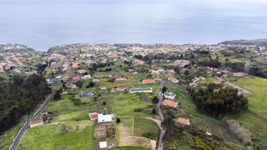 Calheta, Madeira 9370-240, Portugal