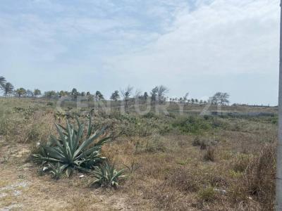 Villa Mar Manzana 2,, Ciudad Madero, Tamaulipas 89515, Messico
