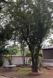 Republica de Colombia casi Guyana 571, Mariano Roque Alonso, Central 00001, パラグアイ