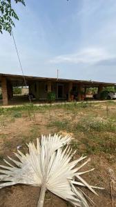 Barinas, Barinas 5201, Venezuela