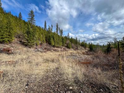 352X Green Rd, Valley, Washington 99181, USA