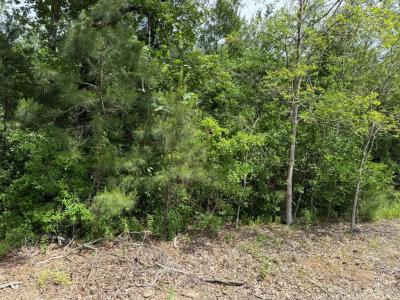 White Oak St Lot 17, Vinton, Louisiana 70668, Estados Unidos