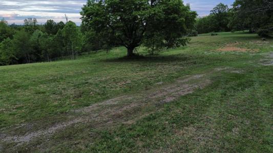 5890 Hwy 144 E, Hawesville, Kentucky 42348, USA