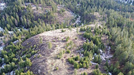 35XX Harms Way, Valley, Washington 99181, Amerika Birleşik Devletleri