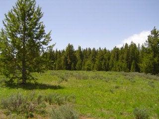 3943 Cowan Road, Island Park, Idaho 83429, Stati Uniti