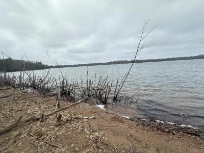 12194 S Plummer Lake Ln, Lac Du Flambeau, ויסקונסין 54538, ארצות הברית של אמריקה