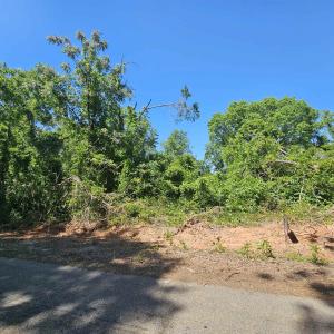 0 Ice House Road, Enoree, SC 29335, USA