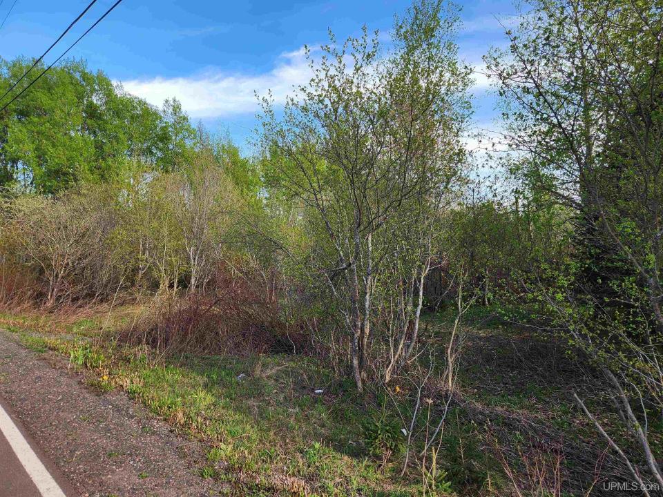 TBD Part Lot 39 Millionaire St, Calumet, Michigan 49913, Amerika Birleşik Devletleri