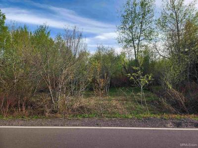 TBD Part Lot 39 Millionaire St, Calumet, Michigan 49913, Amerika Birleşik Devletleri