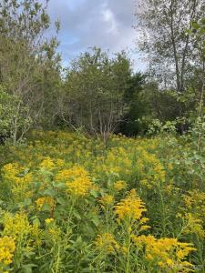 TBD Part Lot 39 Millionaire St, Calumet, Michigan 49913, Amerika Birleşik Devletleri