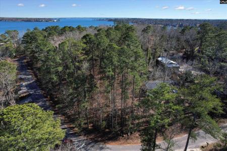 Lot 80 Green Meadow Drive, Chapin, Carolina Del Sur 29036, Estados Unidos