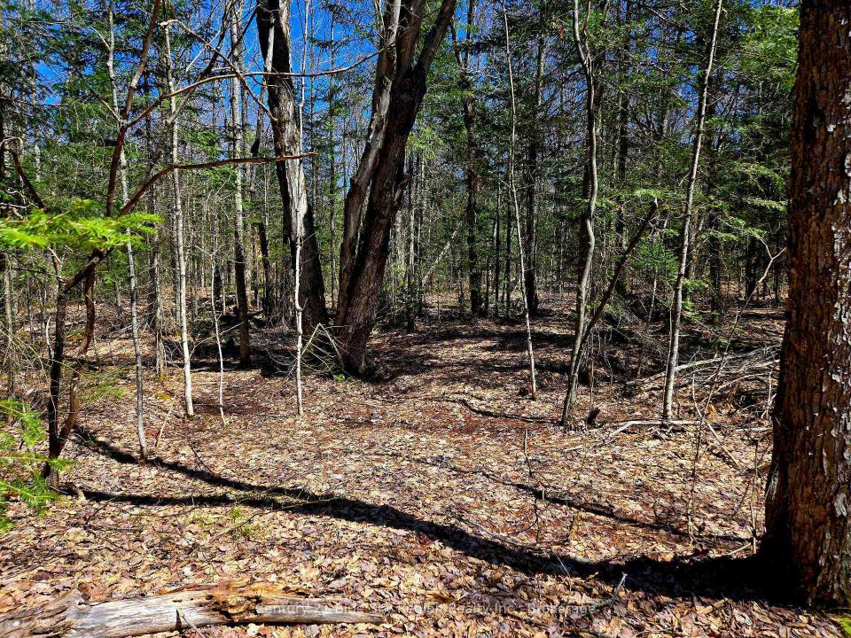 3267 HIGHWAY 534 N/A, Nipissing, Ontario P0H 1W0, Canada