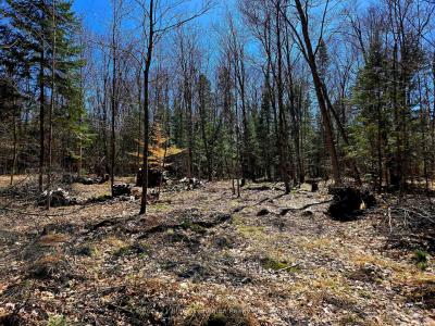 3267 HIGHWAY 534 N/A, Nipissing, Ontario P0H 1W0, Canada
